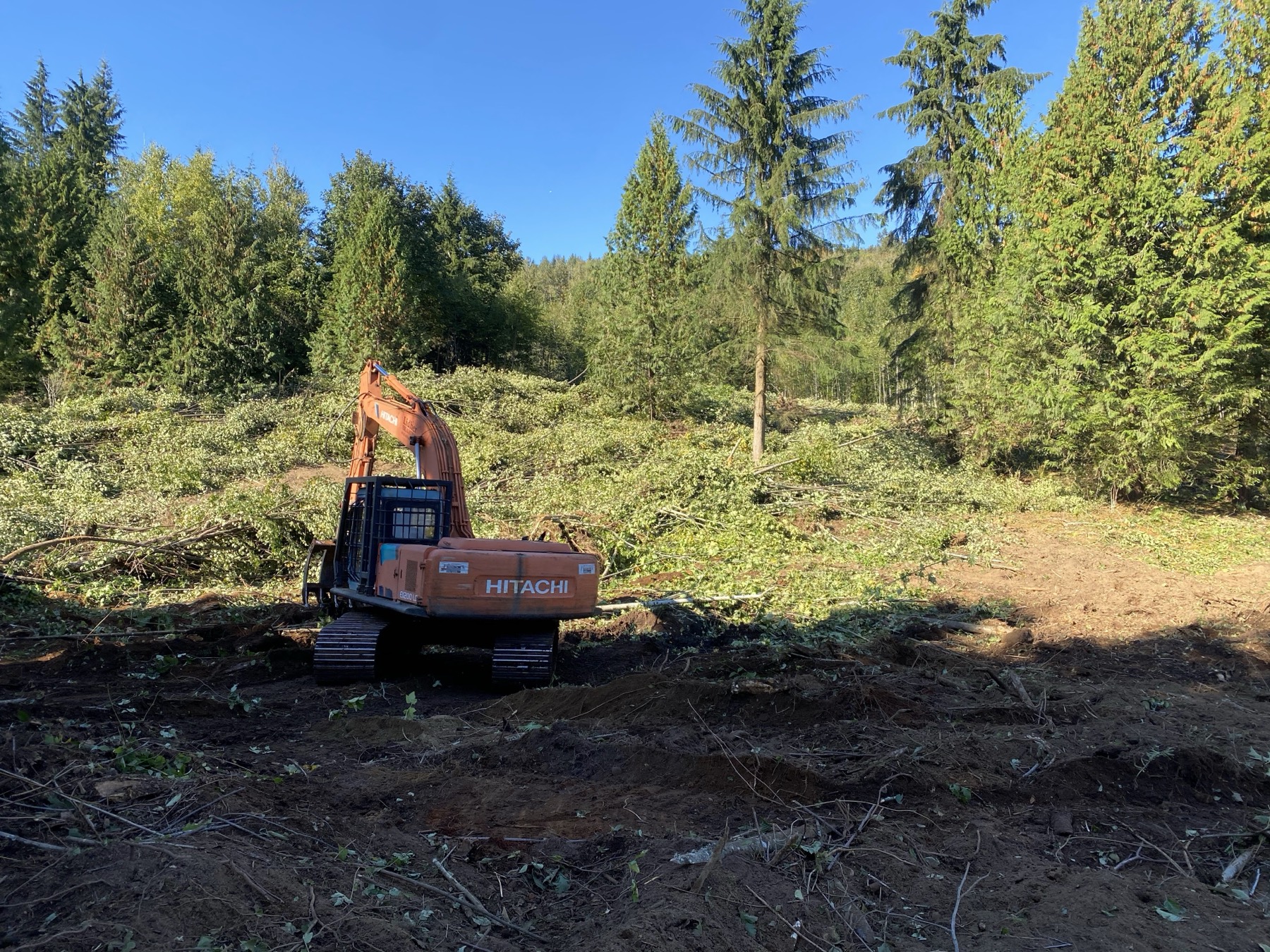 An excavator clearing a treed lot