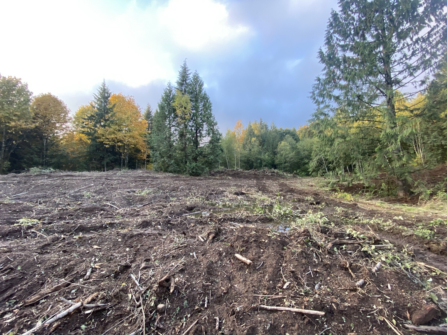 A cleared and graded lot ready to build on